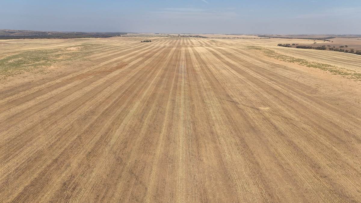 'Watsons' Worooa Road, Underbool For Sale by Farmbuy.com - image 22