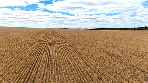Farm For Sale - VIC - Underbool - 3509 - Broadacre Cropping Enterprise - Underbool / Linga District 