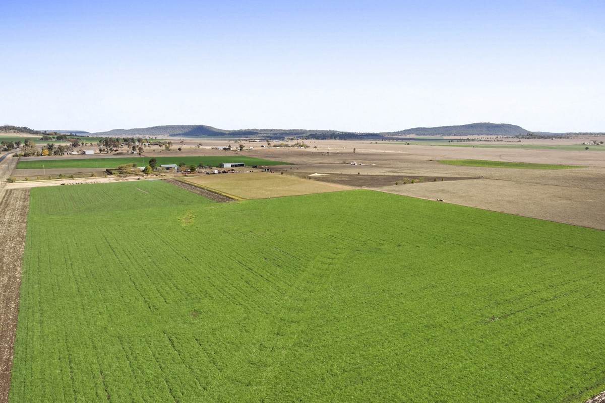 78 Cudmore Road, Cambooya For Sale by Farmbuy.com - image 18