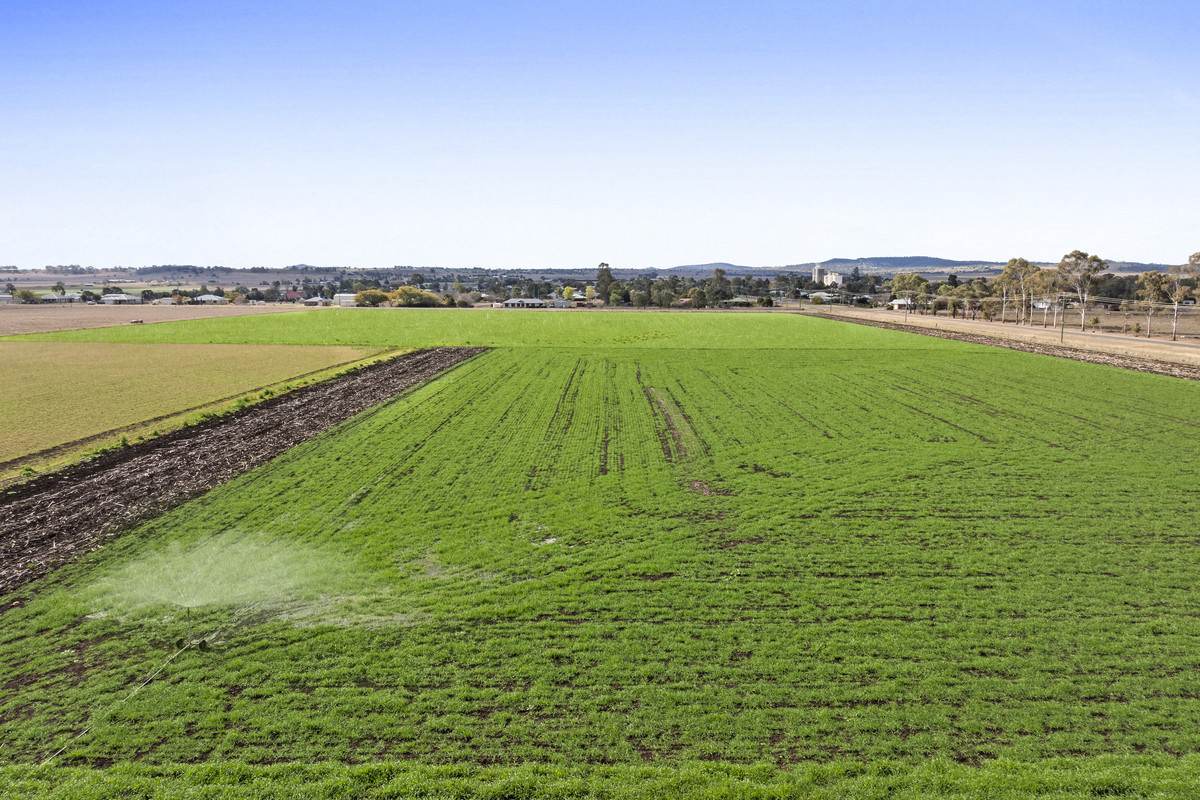 78 Cudmore Road, Cambooya For Sale by Farmbuy.com - image 19