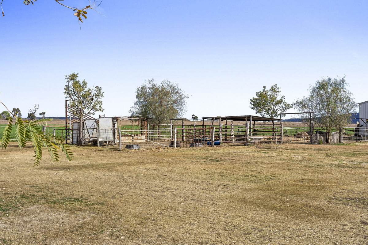 78 Cudmore Road, Cambooya For Sale by Farmbuy.com - image 20