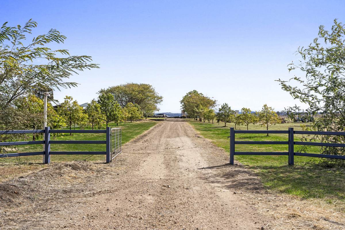 78 Cudmore Road, Cambooya For Sale by Farmbuy.com - image 17