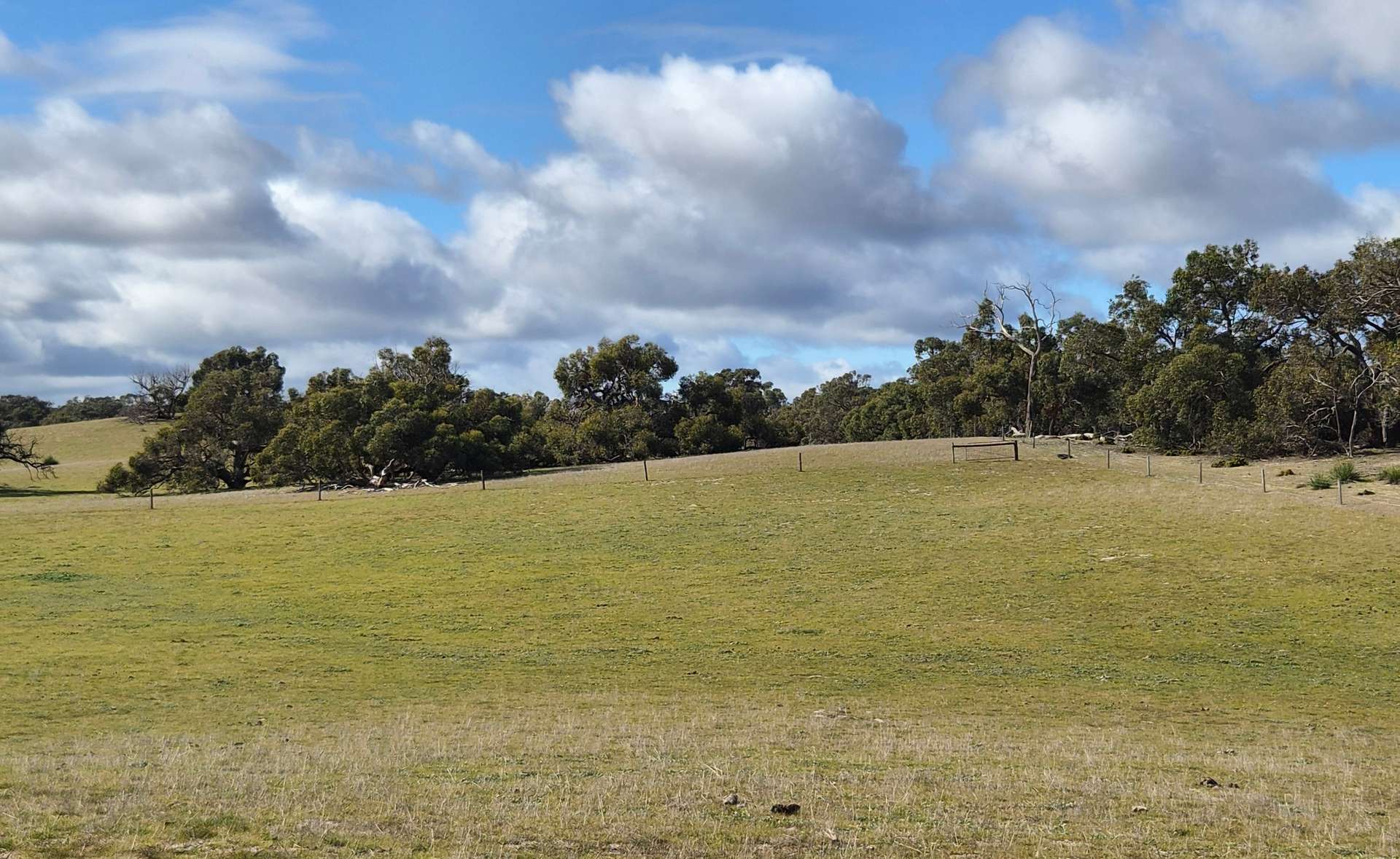 Bangham For Sale by Farmbuy.com - image 6