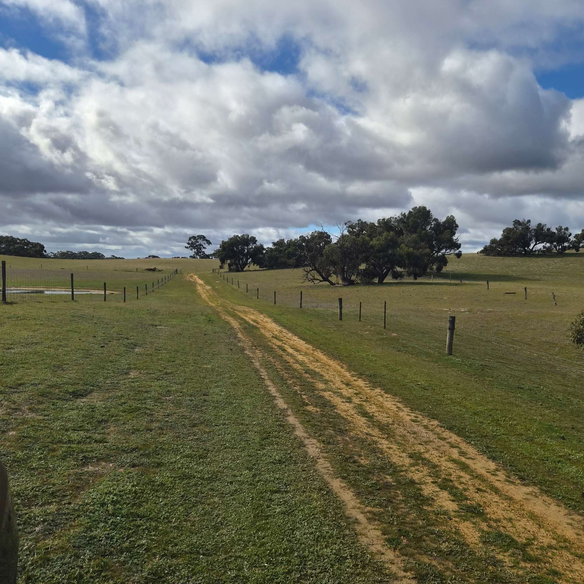 Bangham For Sale by Farmbuy.com - image 12