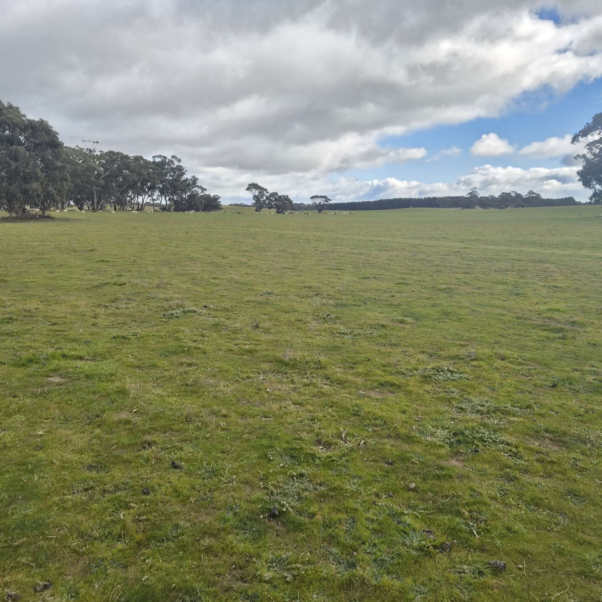 Bangham For Sale by Farmbuy.com - image 15