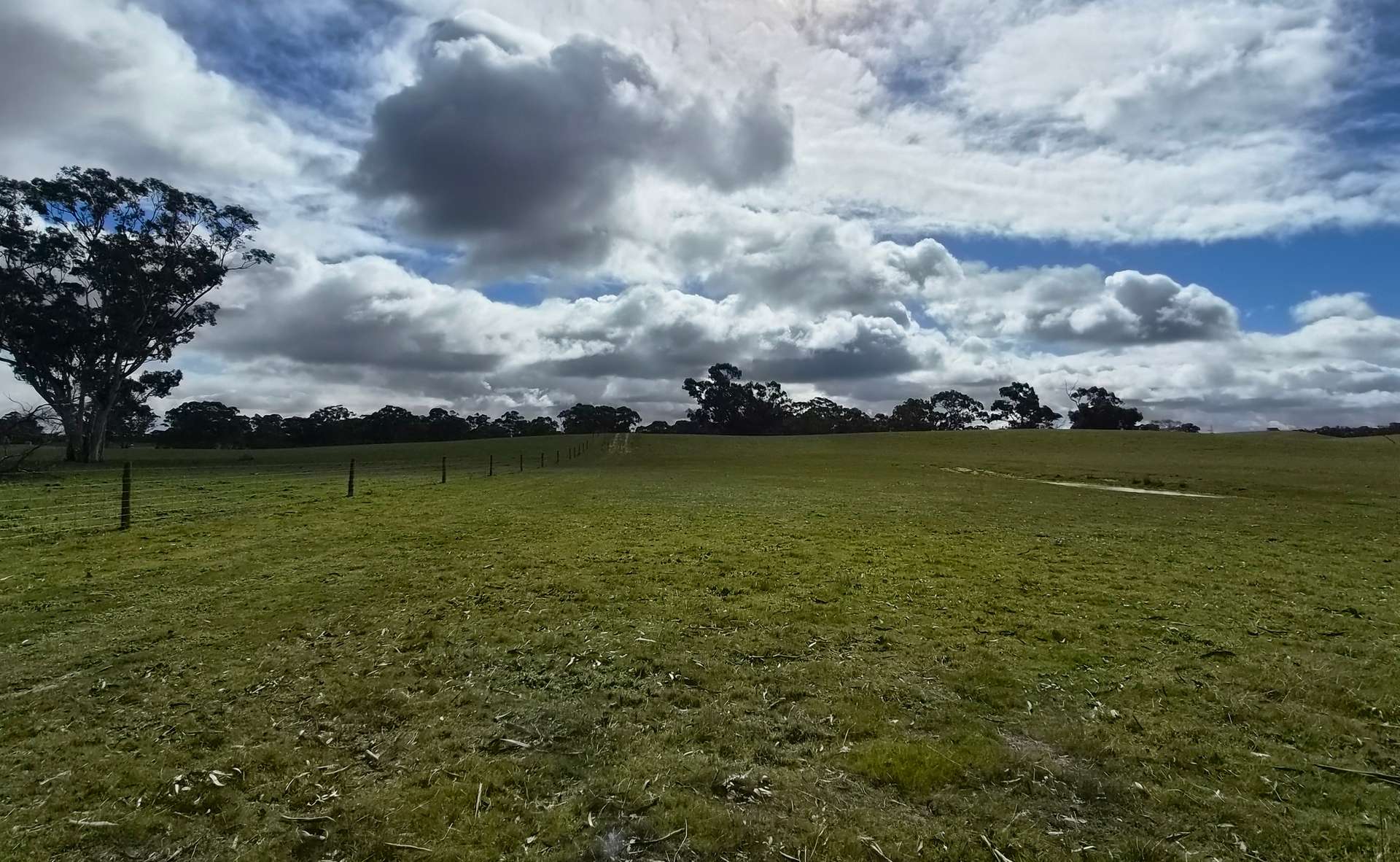 Bangham For Sale by Farmbuy.com - image 5