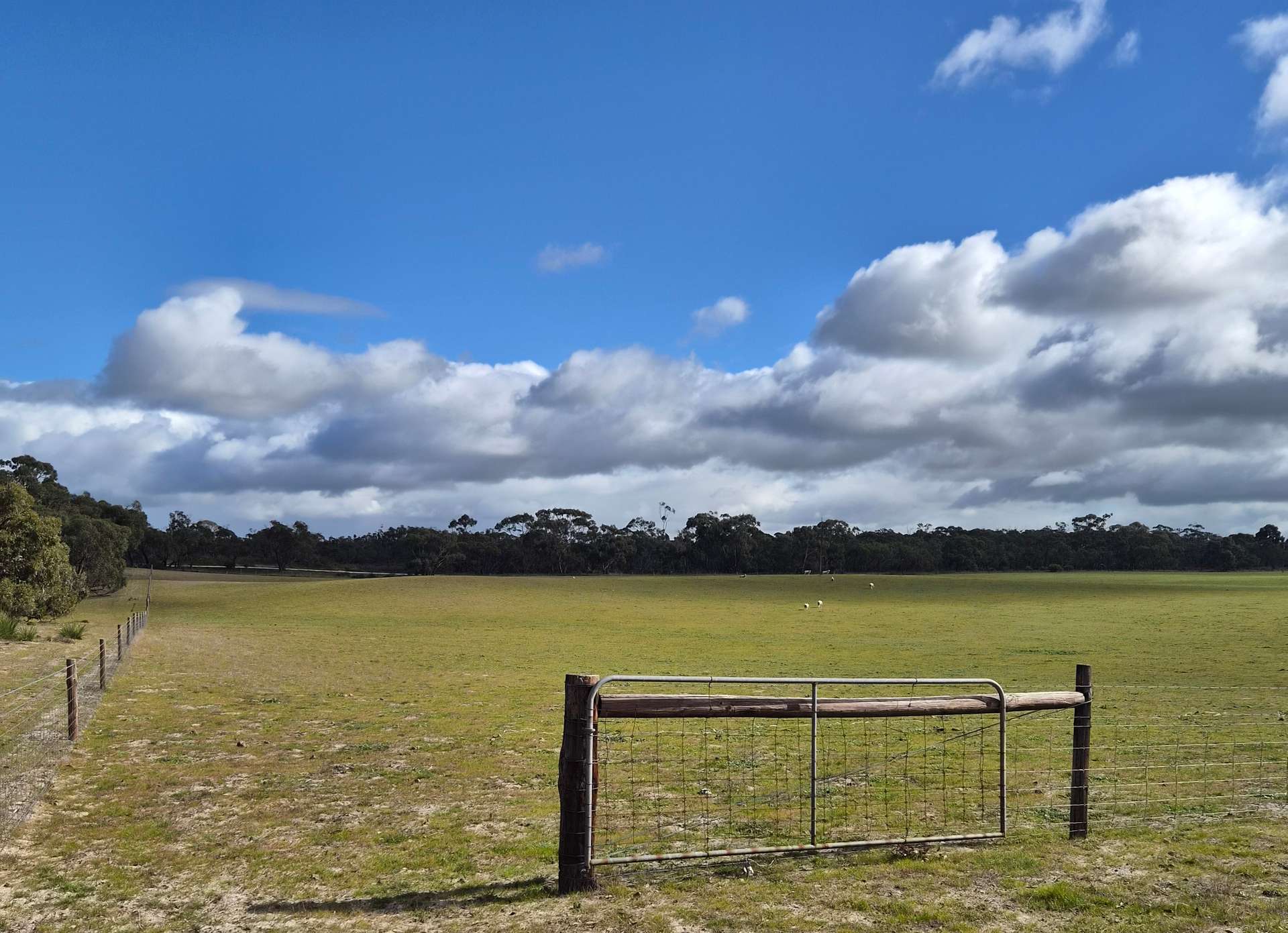 Bangham For Sale by Farmbuy.com - image 7