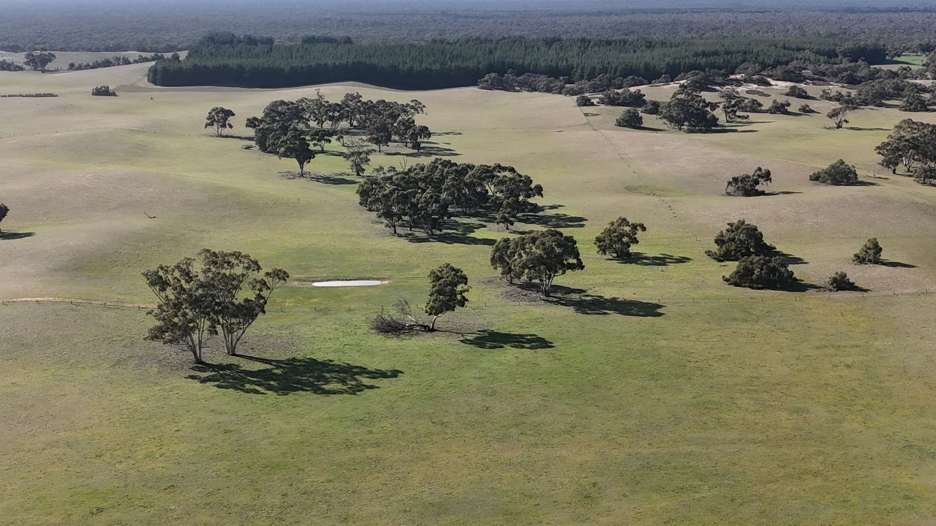 Bangham For Sale by Farmbuy.com - image 18