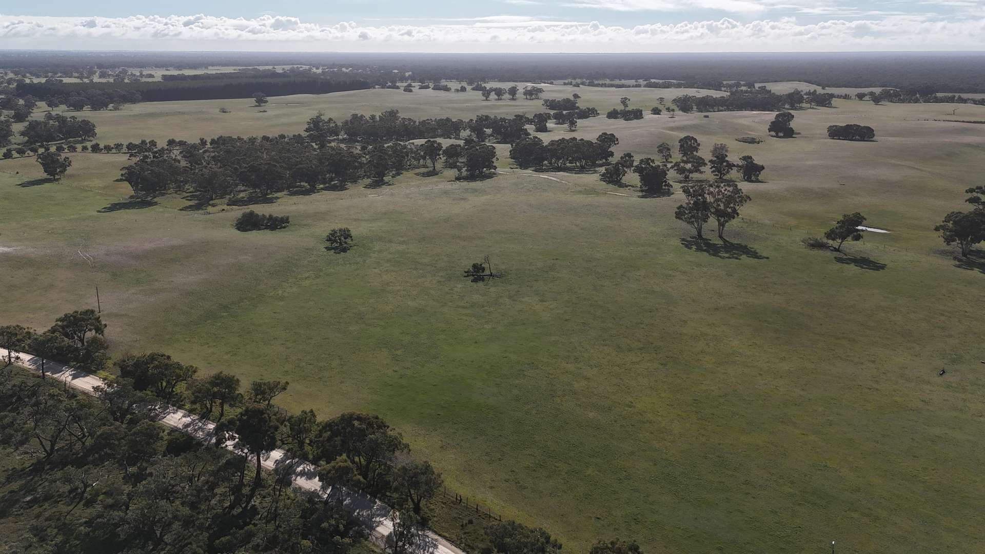 Bangham For Sale by Farmbuy.com - image 17