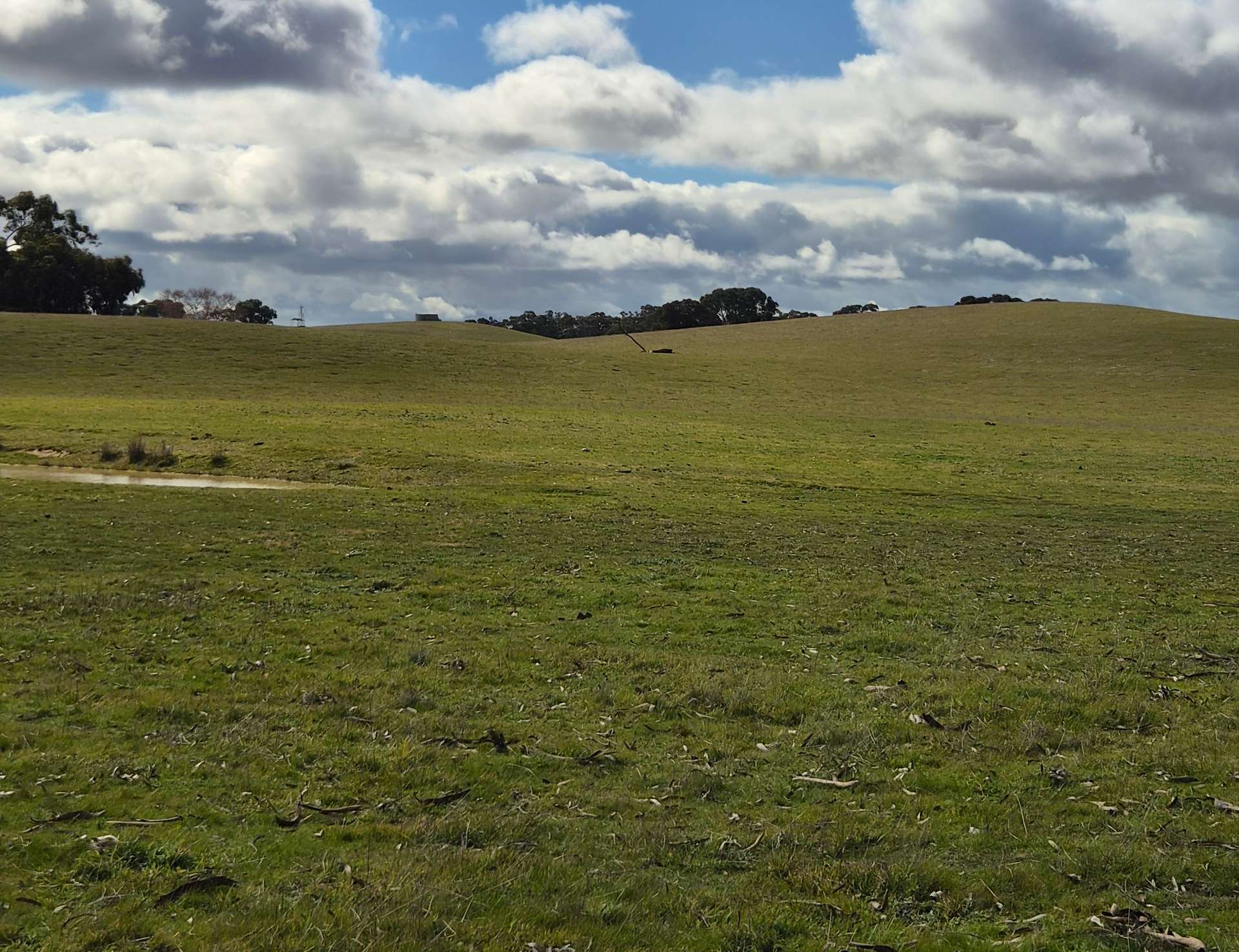 Bangham For Sale by Farmbuy.com - image 3