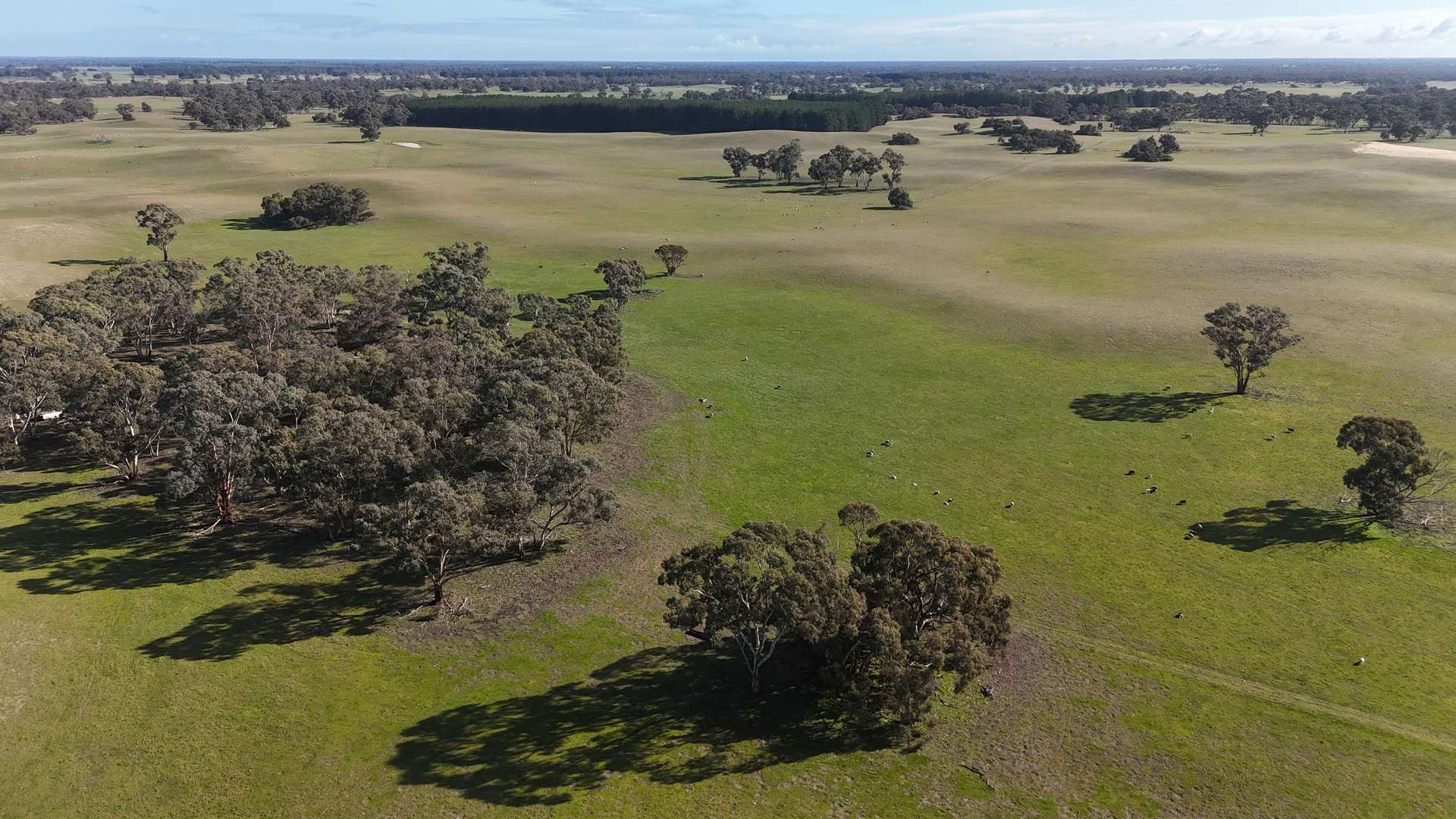 Bangham For Sale by Farmbuy.com - image 9