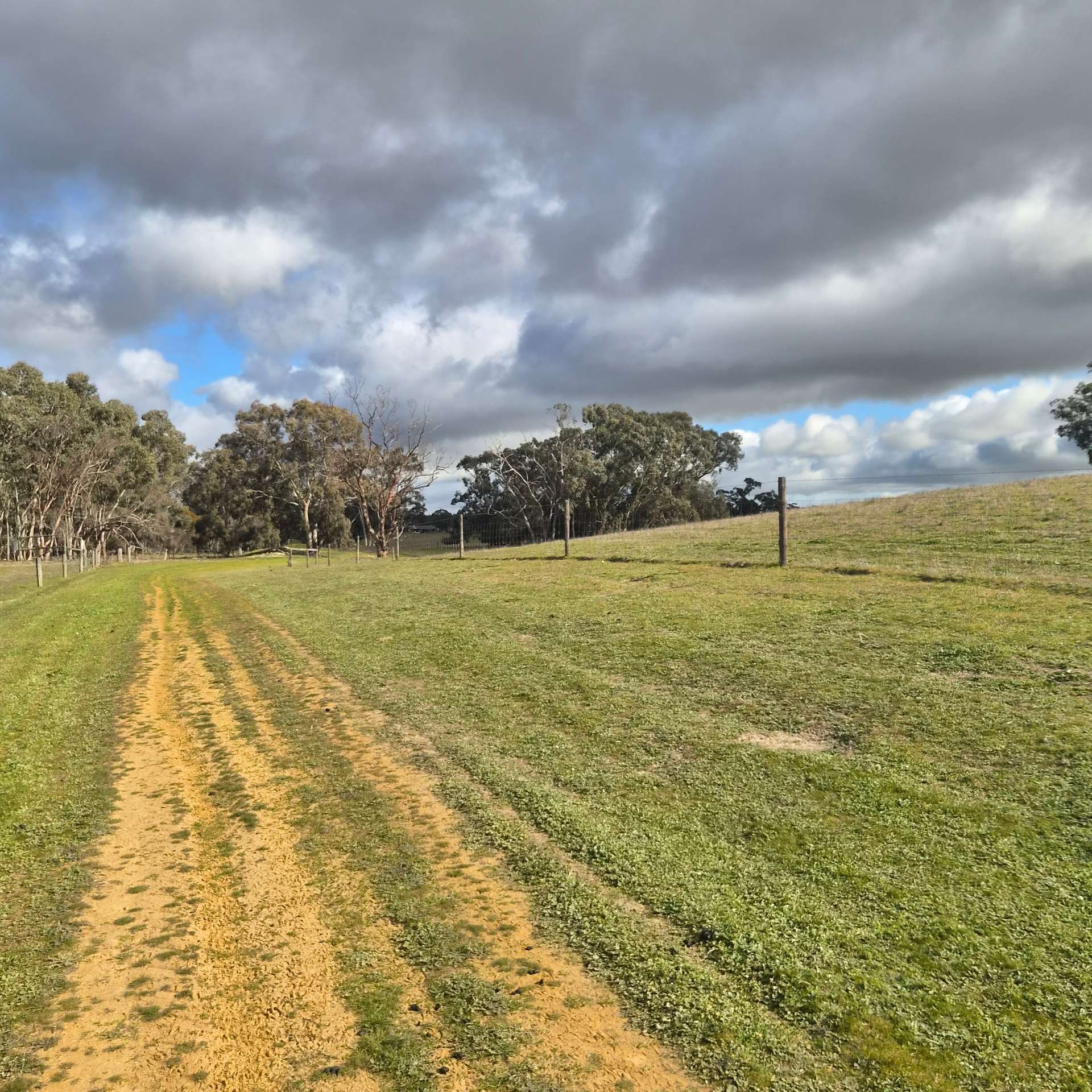 Bangham For Sale by Farmbuy.com - image 14