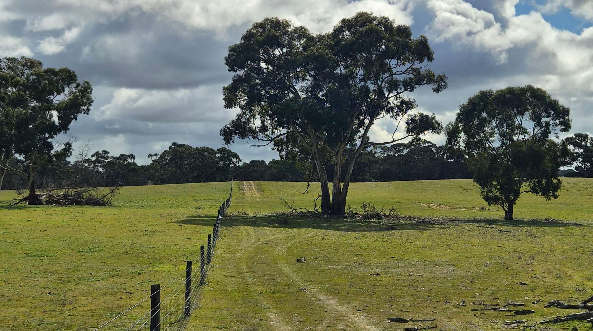 Bangham For Sale by Farmbuy.com - image 8