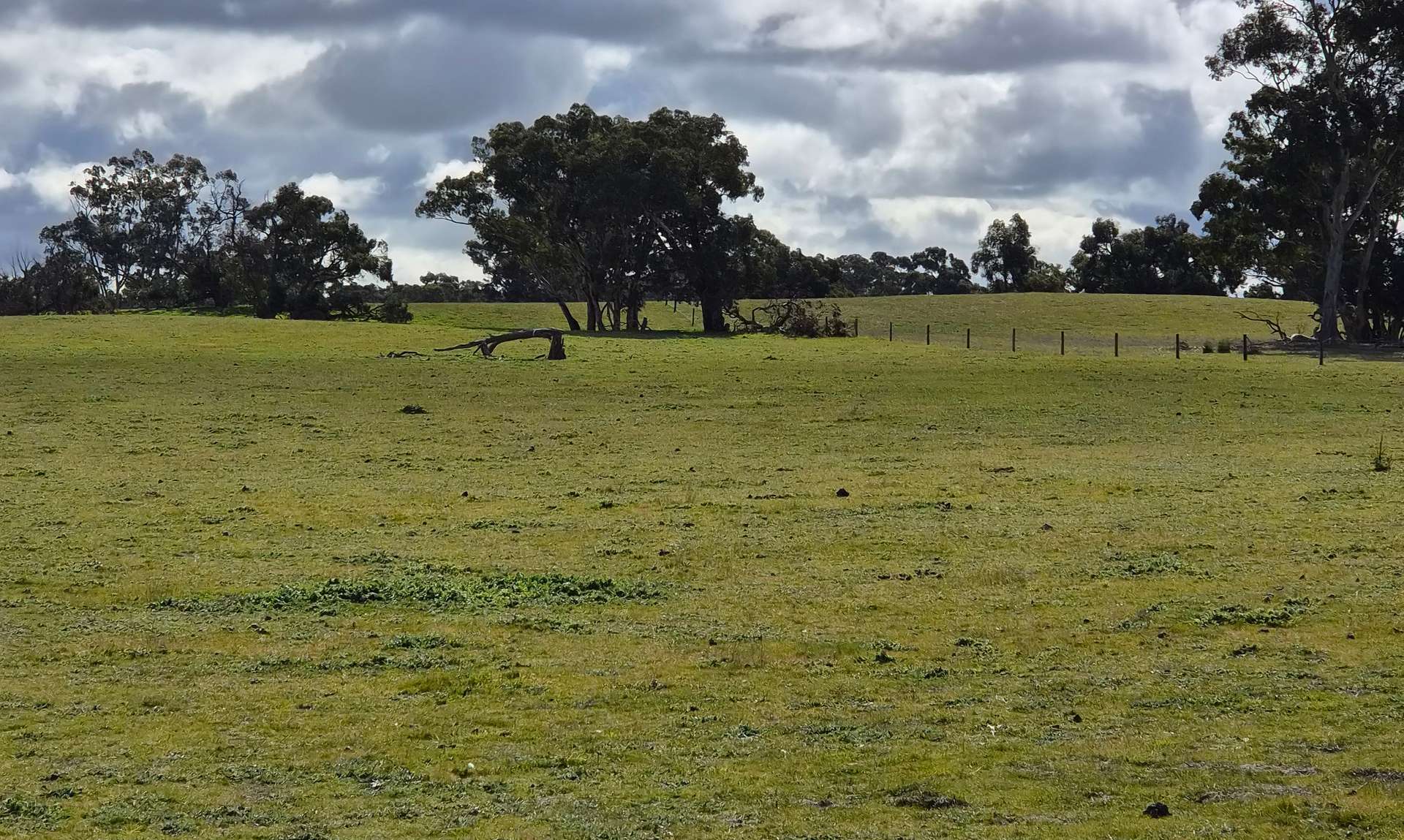 Bangham For Sale by Farmbuy.com - image 2