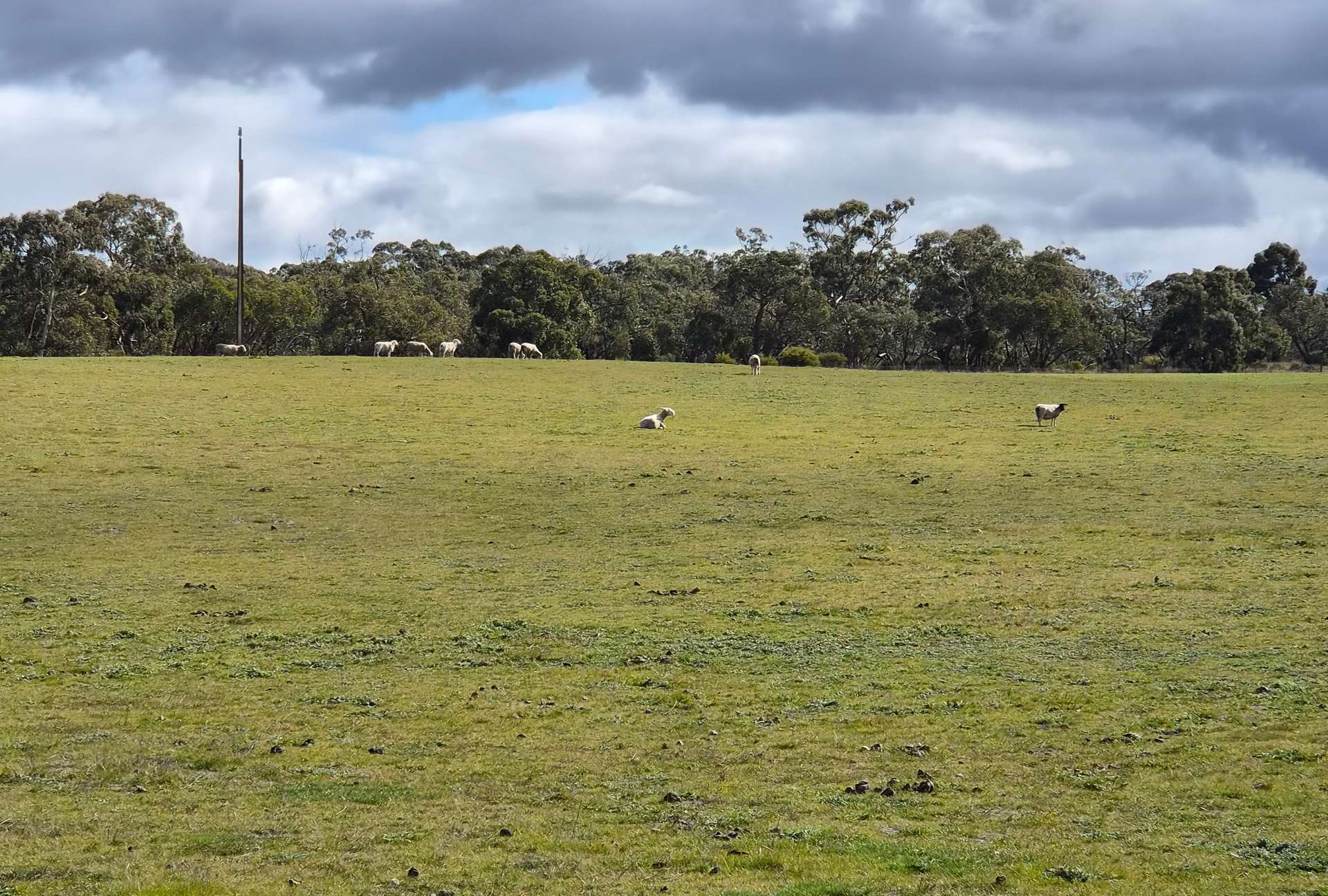 Bangham For Sale by Farmbuy.com - image 1