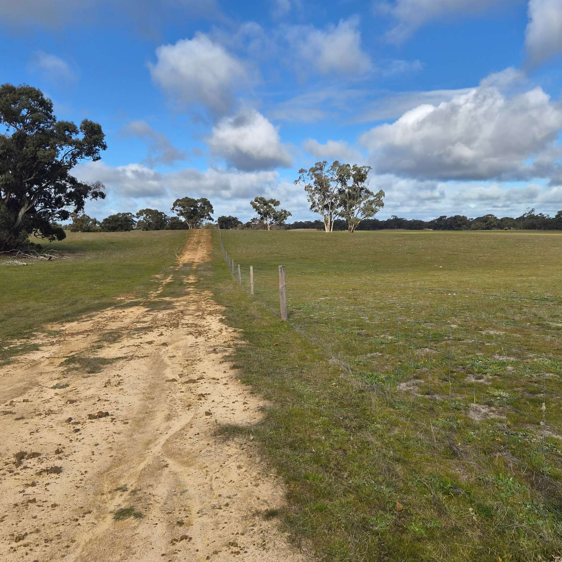 Bangham For Sale by Farmbuy.com - image 10