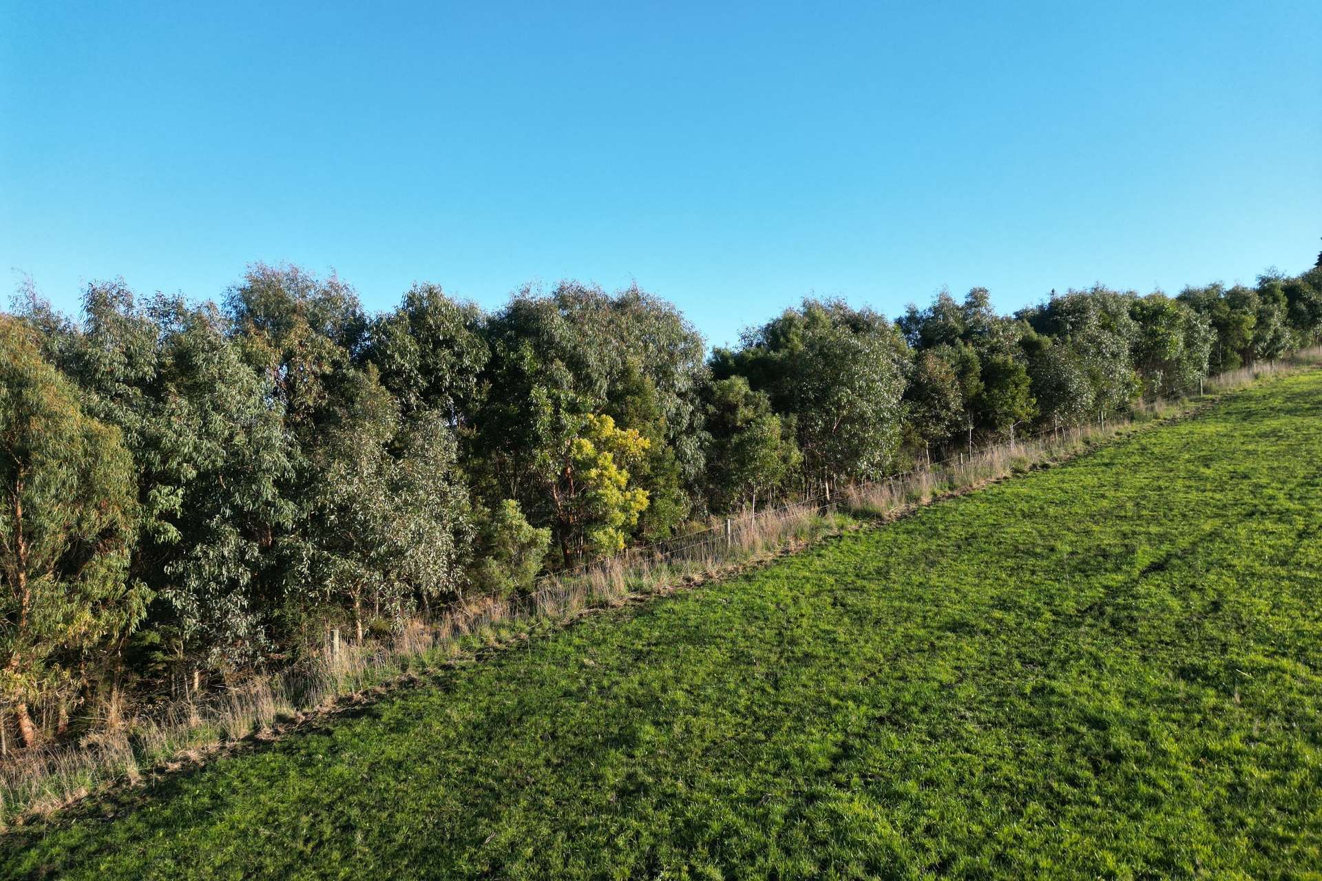 Cobden-Stonyford Road, Bostocks Creek For Sale by Farmbuy.com - image 12