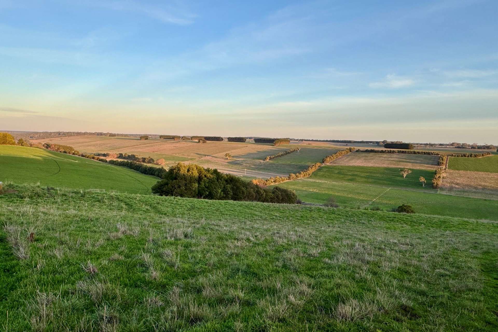 Cobden-Stonyford Road, Bostocks Creek For Sale by Farmbuy.com - image 7