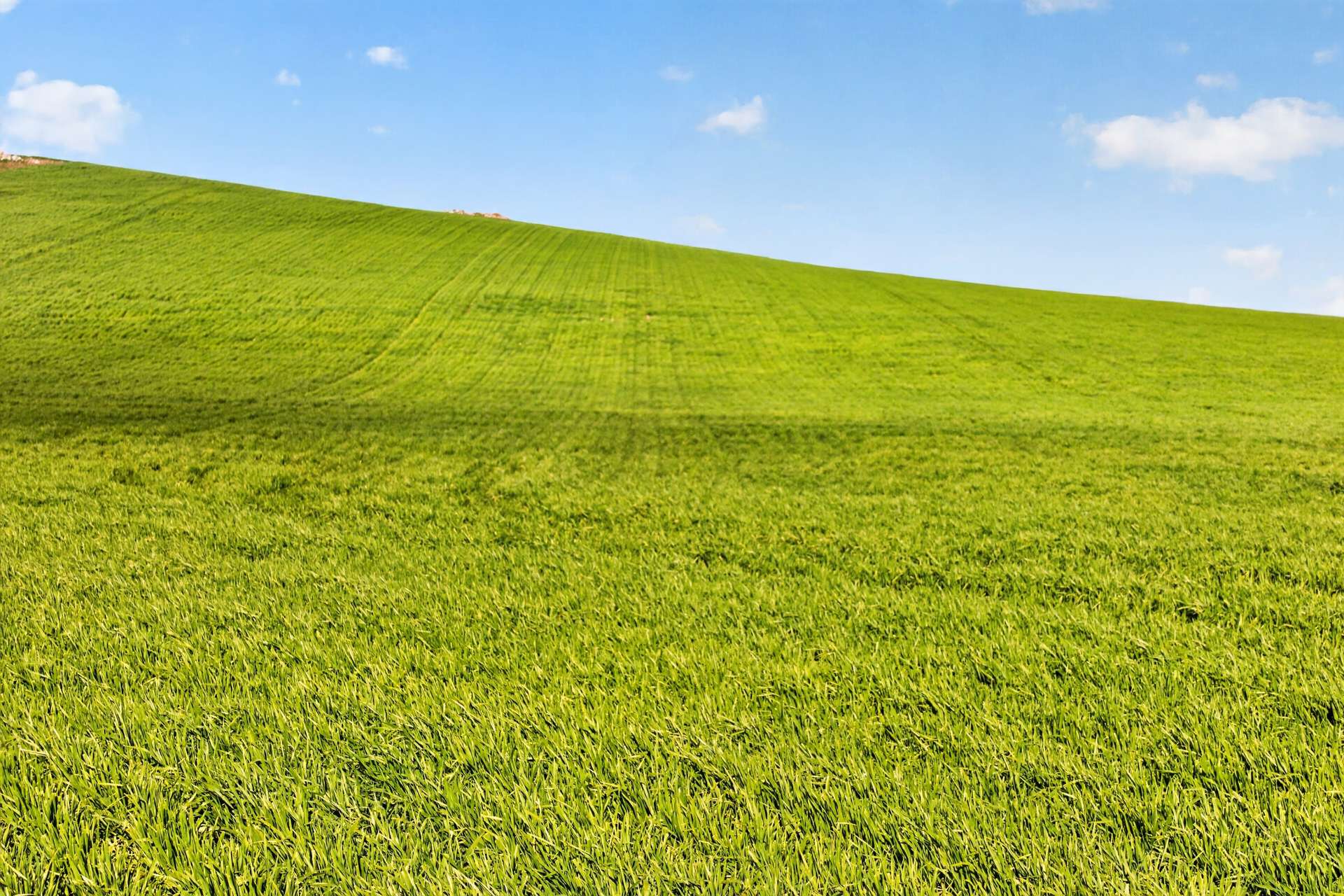 'Eudunda Hill' Thiele Highway, Eudunda For Sale by Farmbuy.com - image 12