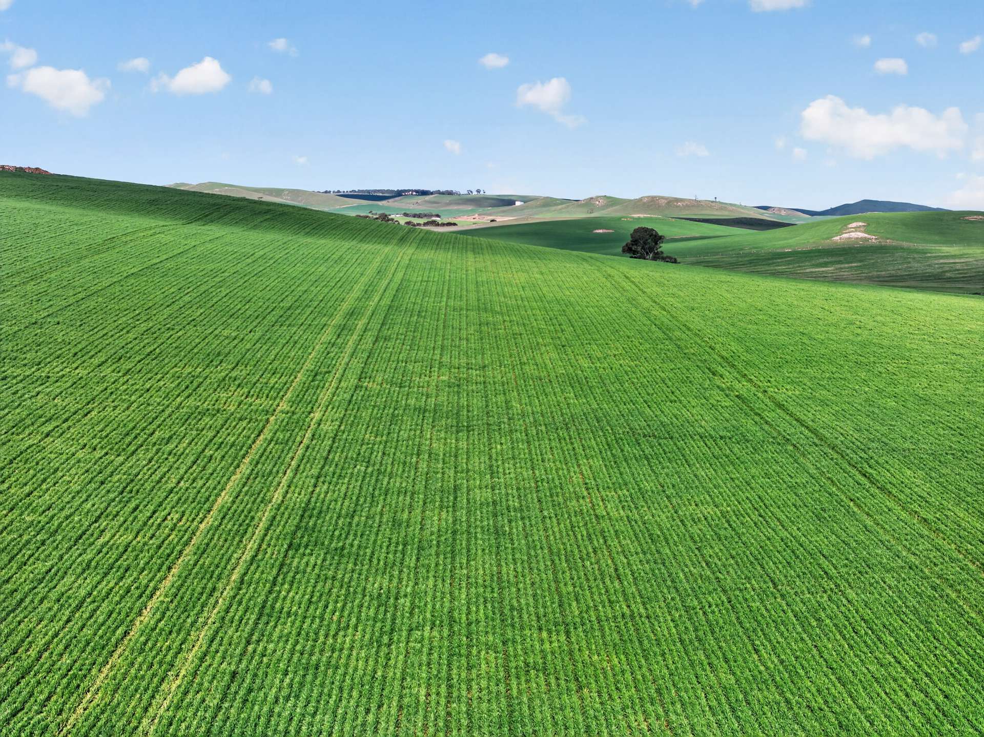 'Eudunda Hill' Thiele Highway, Eudunda For Sale by Farmbuy.com - image 2