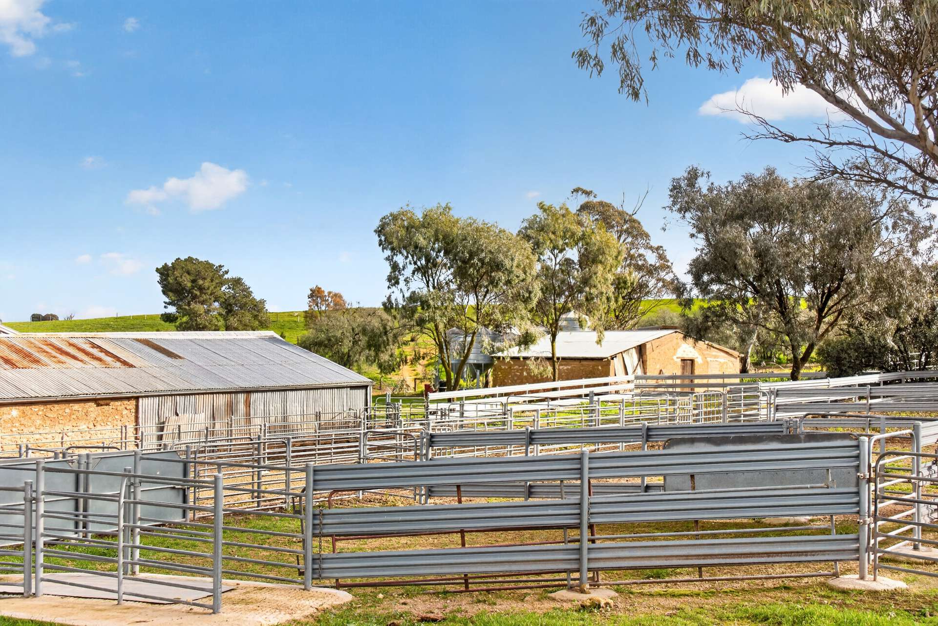 'Eudunda Hill' Thiele Highway, Eudunda For Sale by Farmbuy.com - image 25