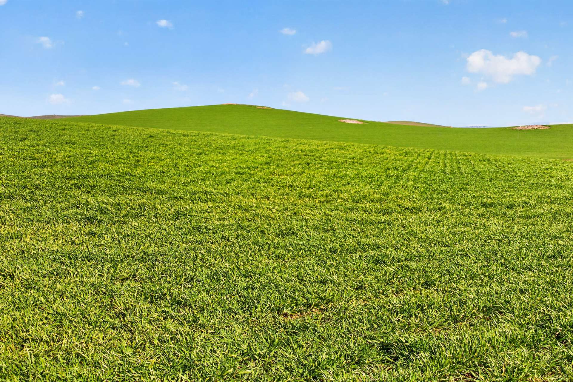 'Eudunda Hill' Thiele Highway, Eudunda For Sale by Farmbuy.com - image 3