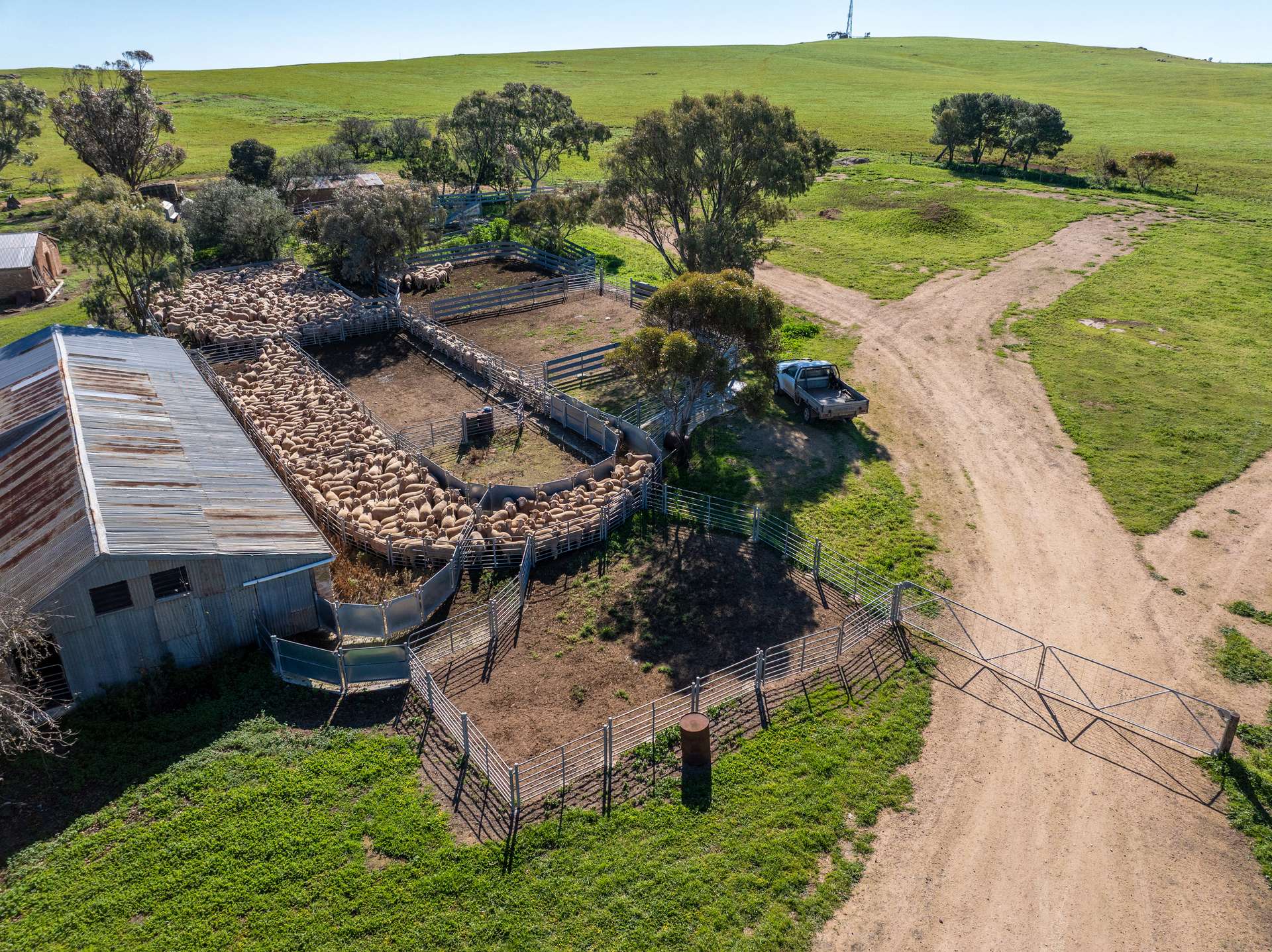 'Eudunda Hill' Thiele Highway, Eudunda For Sale by Farmbuy.com - image 10