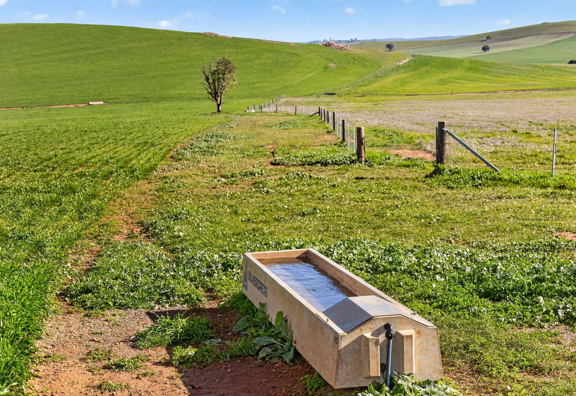 'Eudunda Hill' Thiele Highway, Eudunda For Sale by Farmbuy.com - image 5