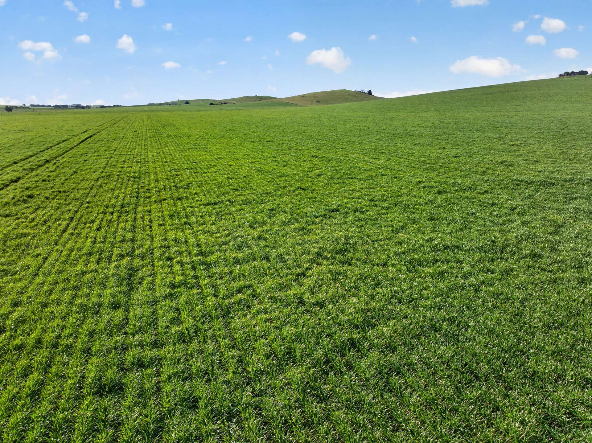 'Eudunda Hill' Thiele Highway, Eudunda For Sale by Farmbuy.com - image 22