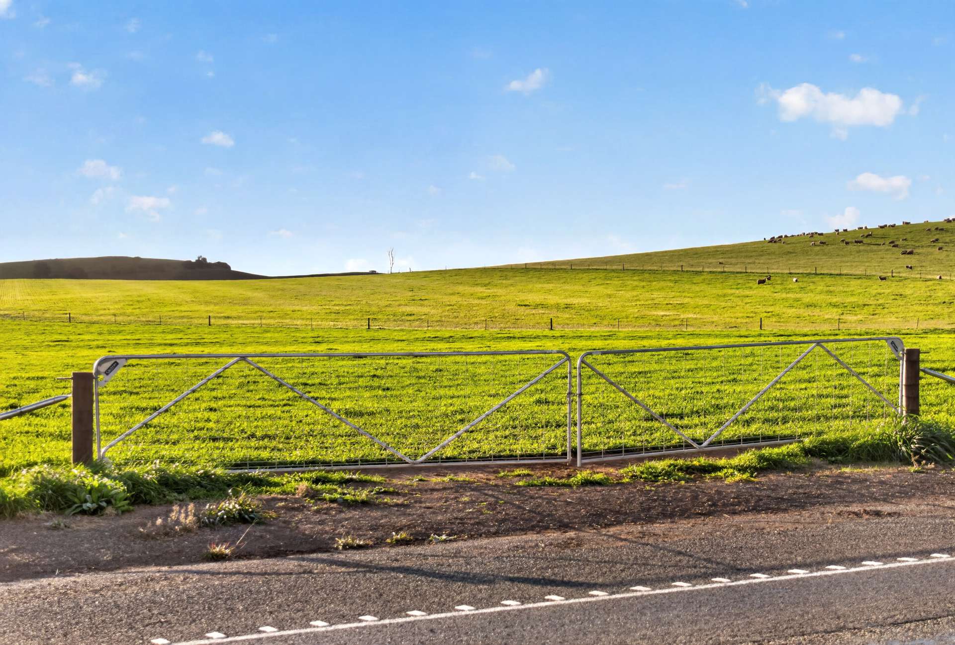 'Eudunda Hill' Thiele Highway, Eudunda For Sale by Farmbuy.com - image 4