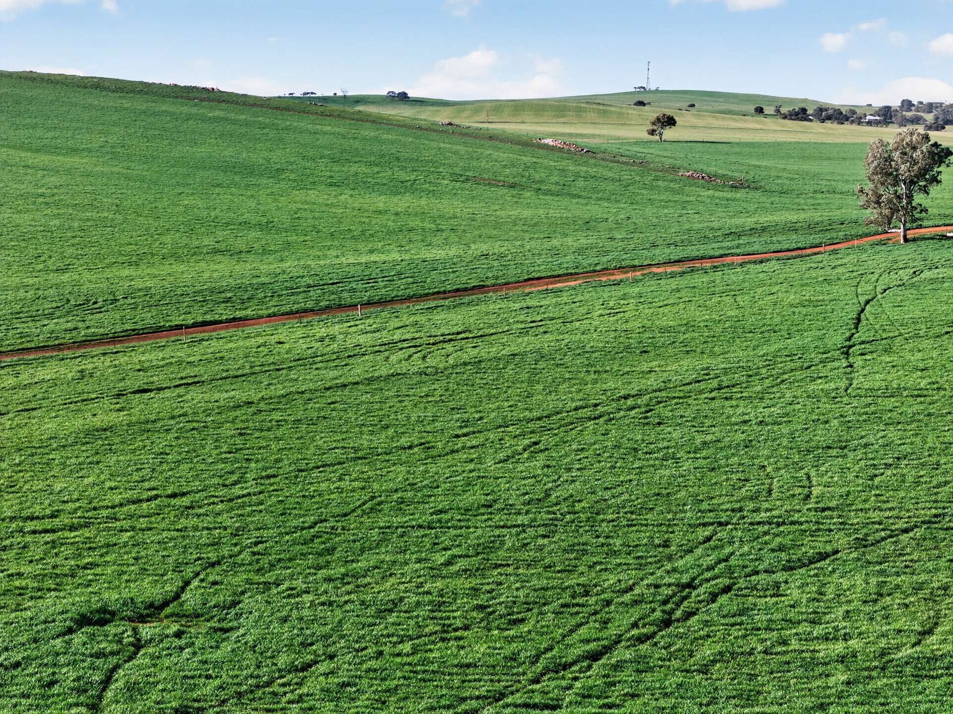 'Eudunda Hill' Thiele Highway, Eudunda For Sale by Farmbuy.com - image 20