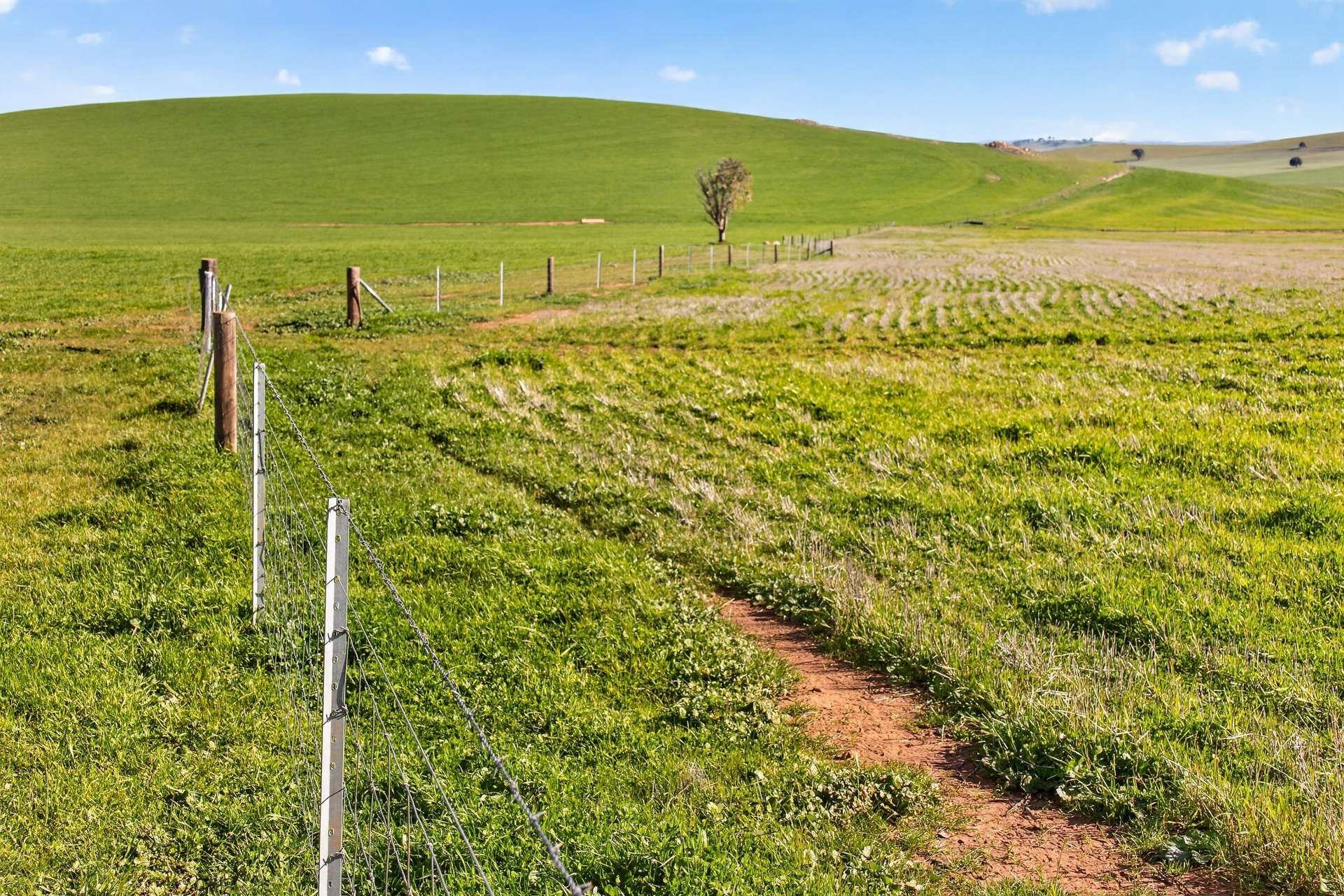 'Eudunda Hill' Thiele Highway, Eudunda For Sale by Farmbuy.com - image 8