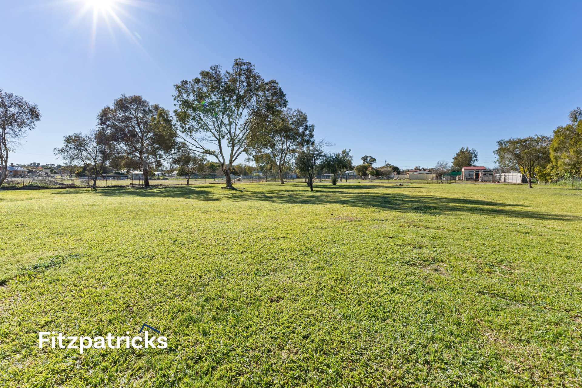 51-53 Emily Street, The Rock For Sale by Farmbuy.com - image 24