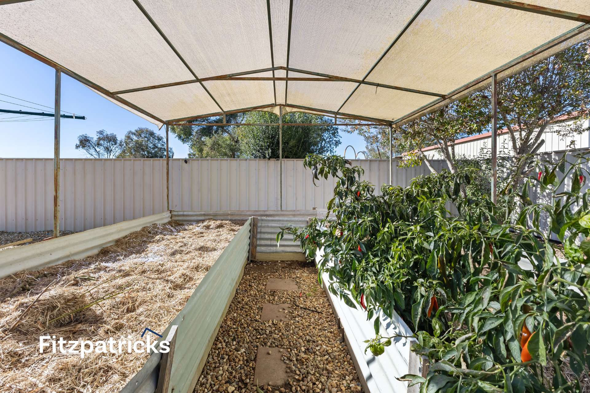 51-53 Emily Street, The Rock For Sale by Farmbuy.com - image 29