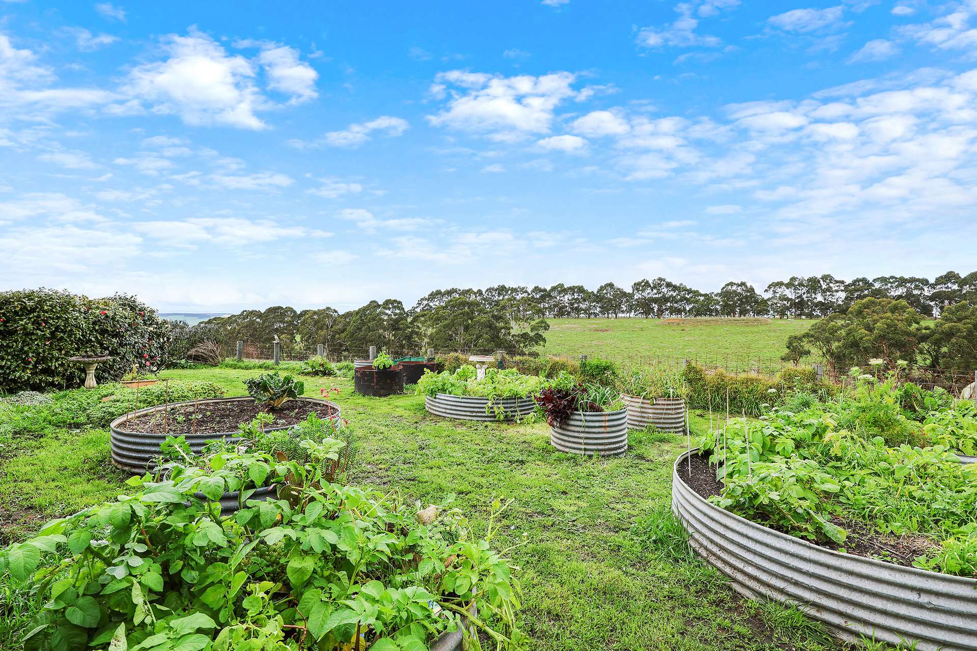 245 Gribbles Road, Jancourt East For Sale by Farmbuy.com - image 19