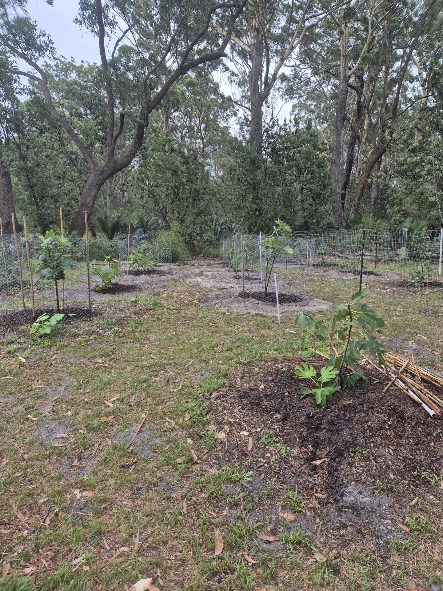 LOT 3 Donnelley Drive, Moruya For Sale by Farmbuy.com - image 6