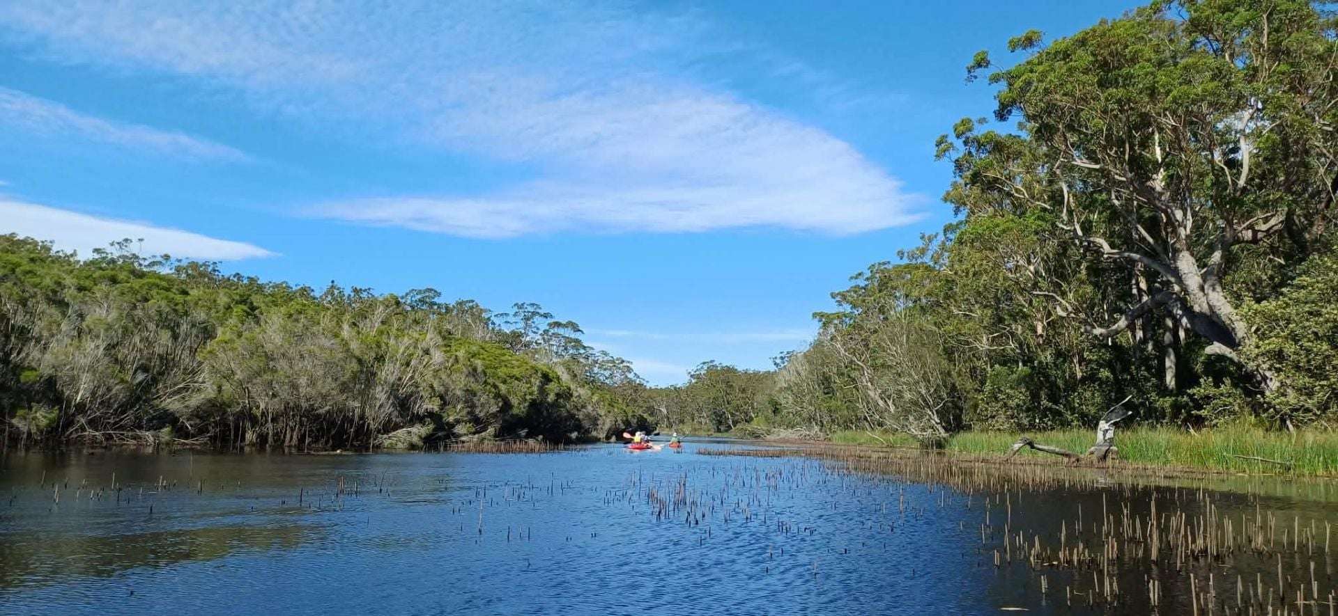 LOT 3 Donnelley Drive, Moruya For Sale by Farmbuy.com - image 5