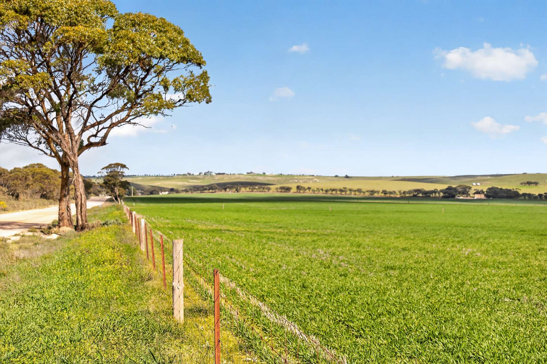 'Murrays' Myrtle Road, Eudunda Auction by Farmbuy.com - image 15