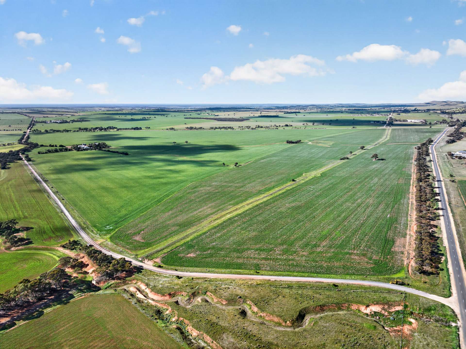 'Murrays' Myrtle Road, Eudunda Auction by Farmbuy.com - image 8