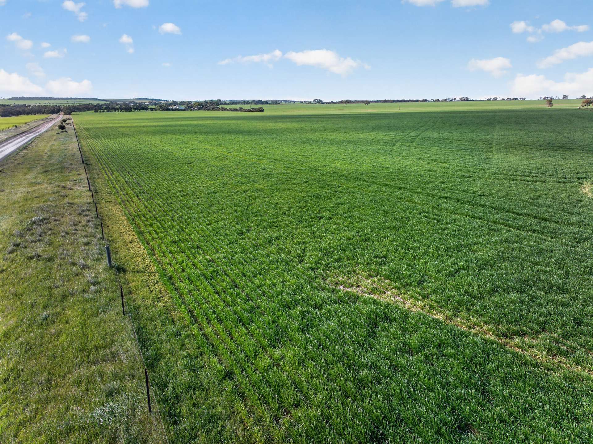 'Murrays' Myrtle Road, Eudunda Auction by Farmbuy.com - image 17