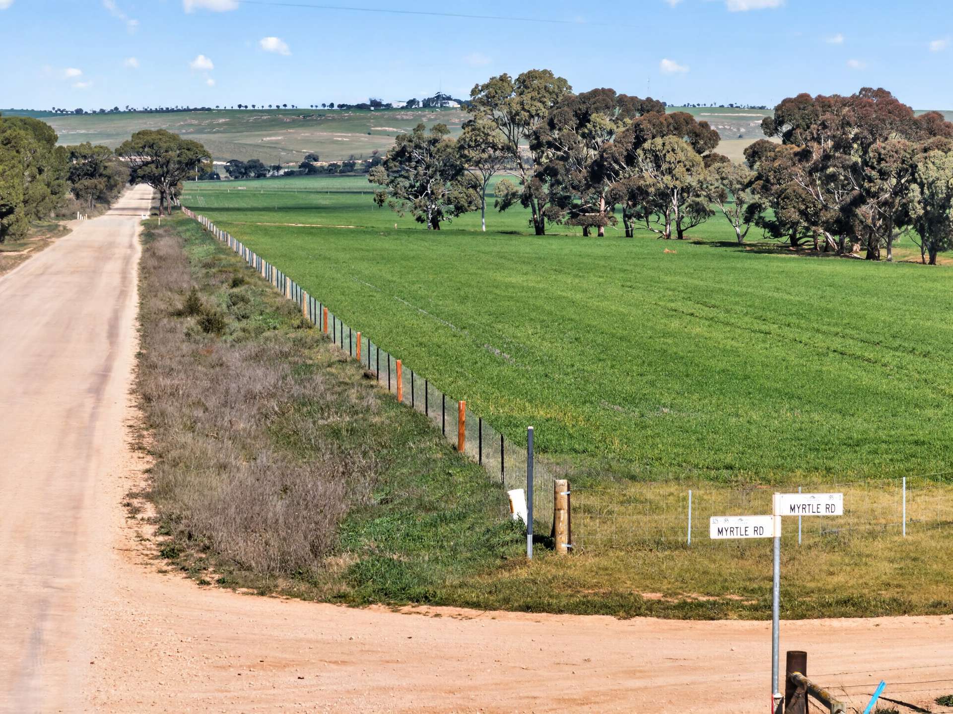 'Murrays' Myrtle Road, Eudunda Auction by Farmbuy.com - image 19