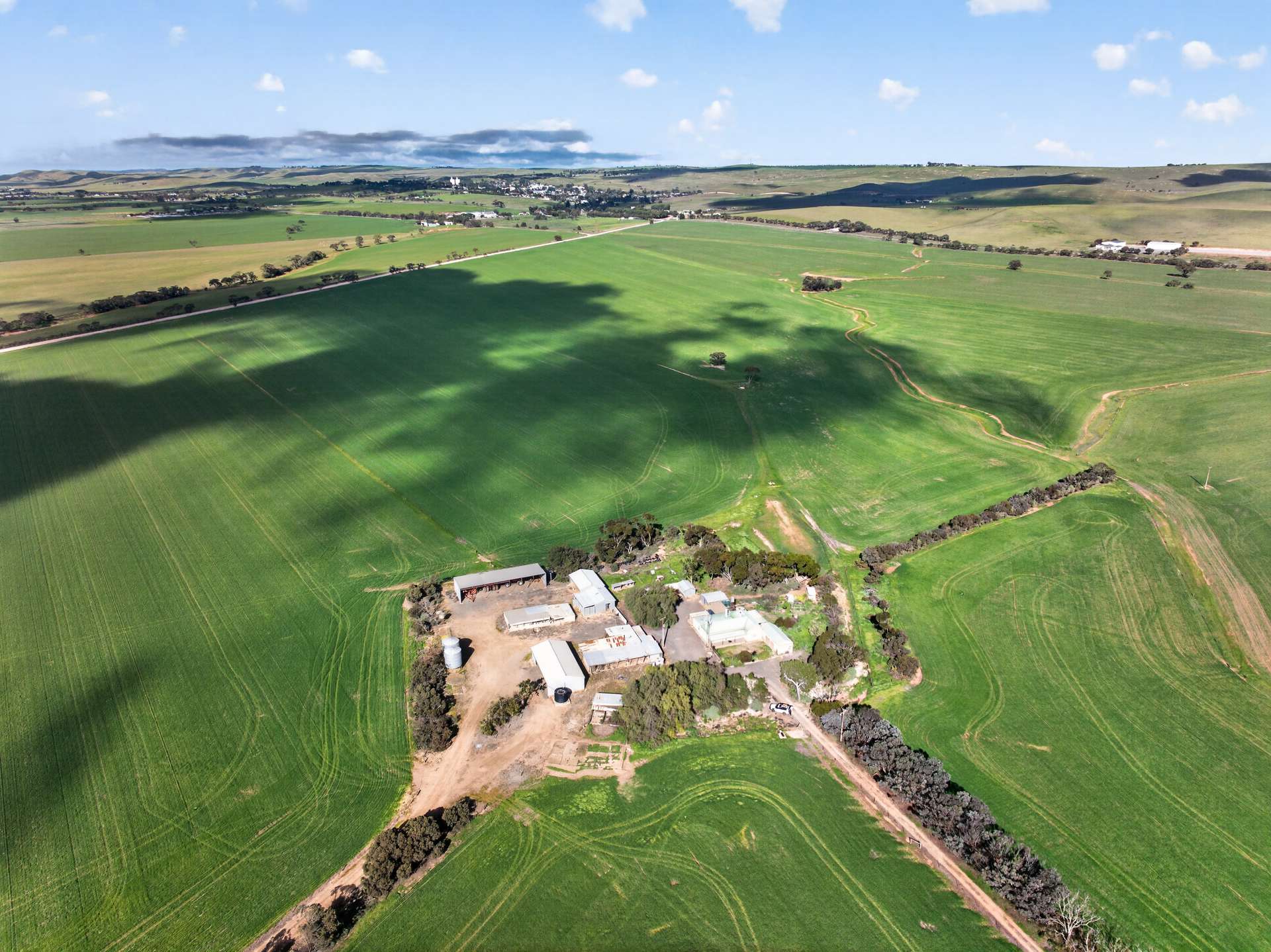 'Murrays' Myrtle Road, Eudunda Auction by Farmbuy.com - image 1