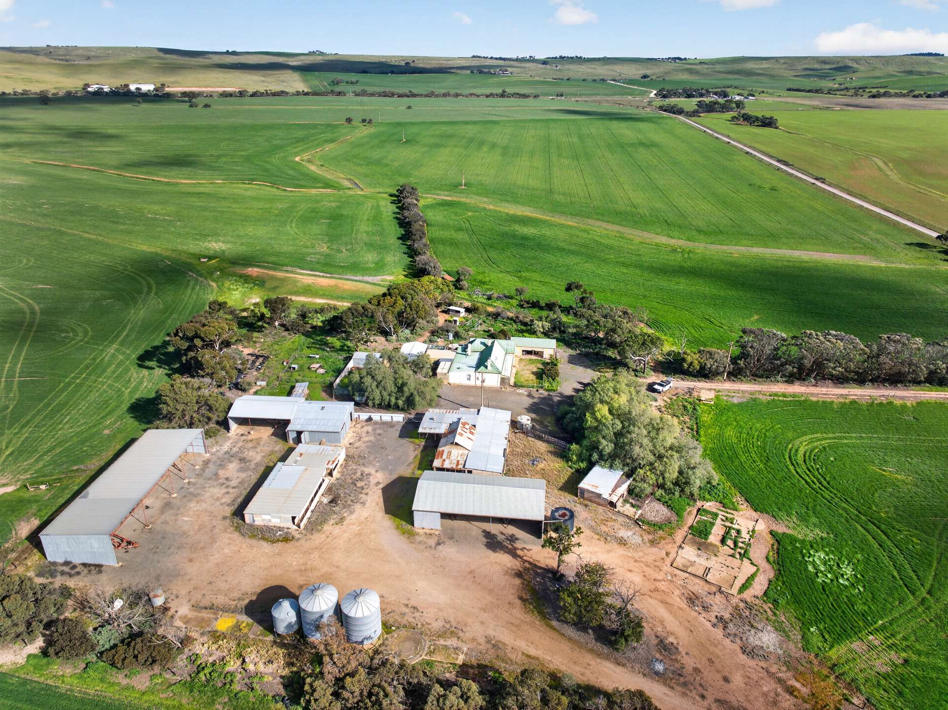 'Murrays' Myrtle Road, Eudunda Auction by Farmbuy.com - image 18