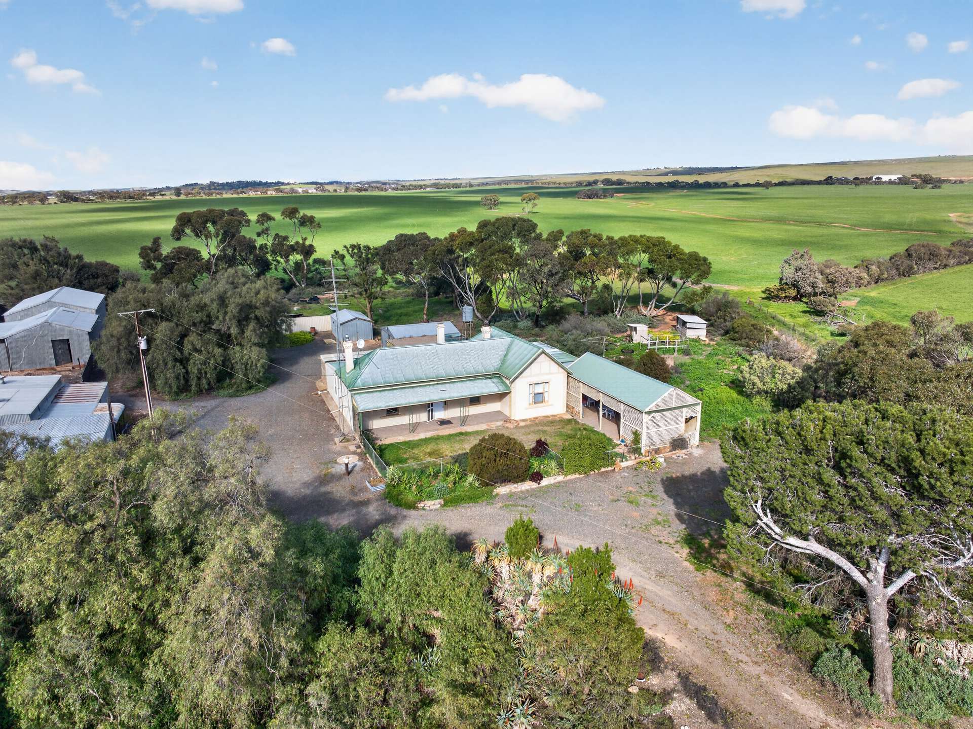 'Murrays' Myrtle Road, Eudunda Auction by Farmbuy.com - image 5