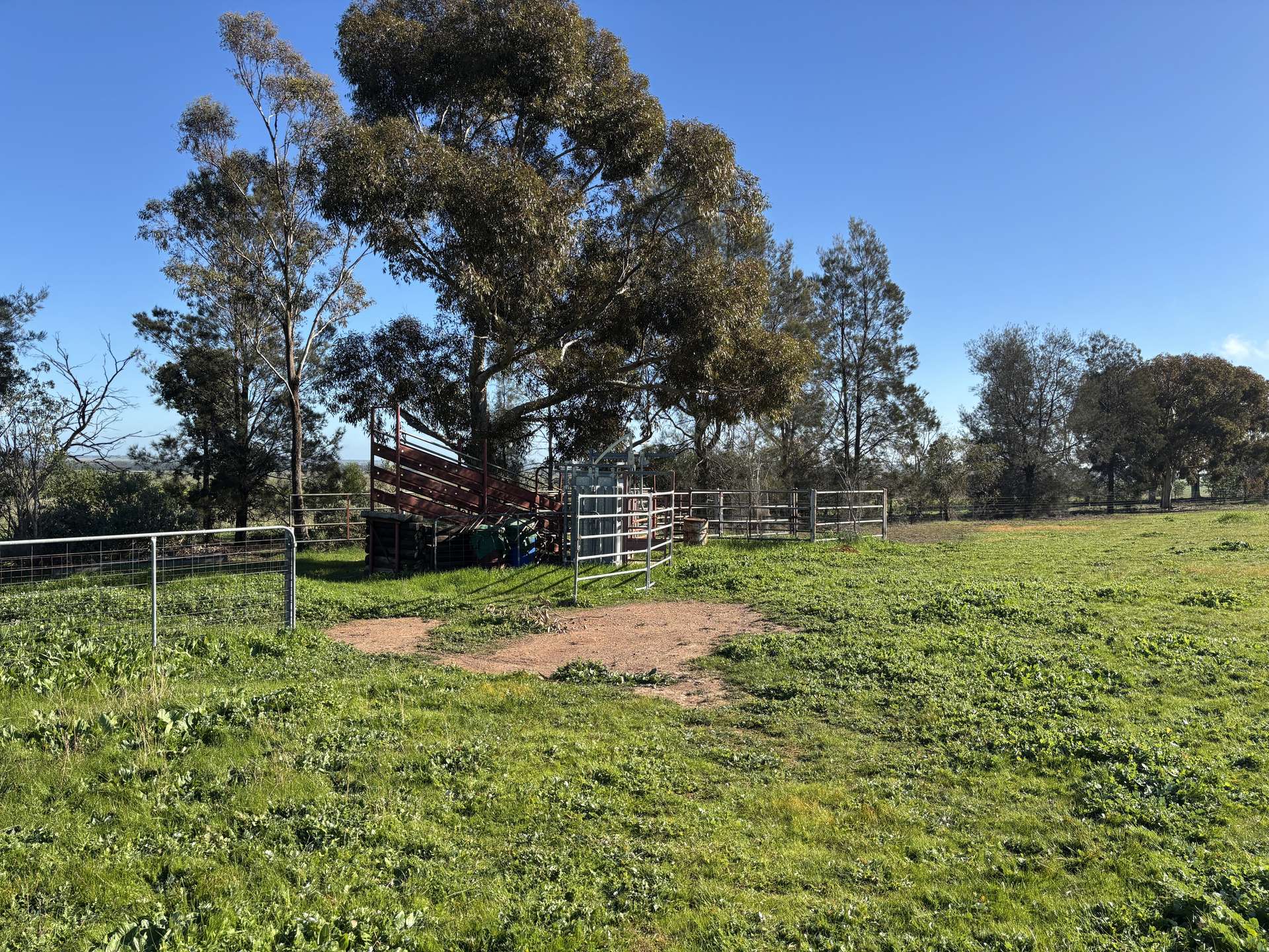 319 Back Trundle Road, Parkes For Sale by Farmbuy.com - image 26