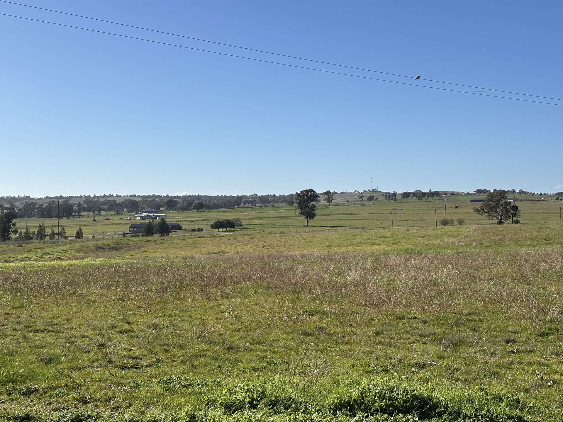 319 Back Trundle Road, Parkes For Sale by Farmbuy.com - image 27