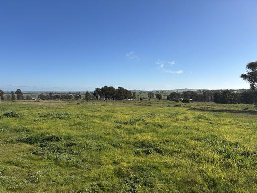 Farm For Sale - NSW - Parkes - 2870 - Instant Appeal - Perfect Location 