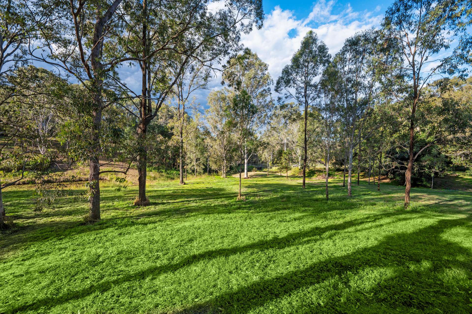 102 Oatlands Court, Wights Mountain For Sale by Farmbuy.com - image 27