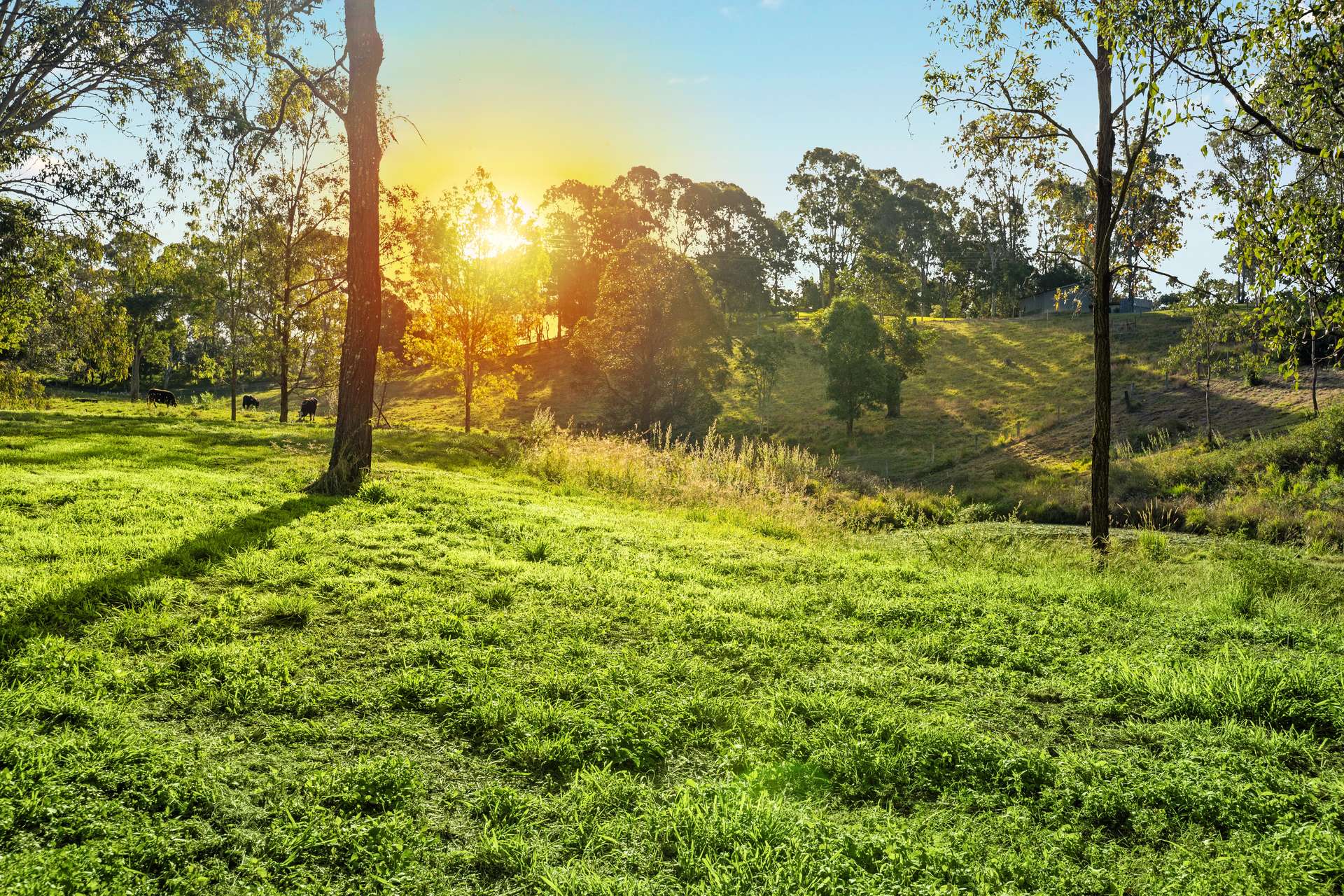 102 Oatlands Court, Wights Mountain For Sale by Farmbuy.com - image 29