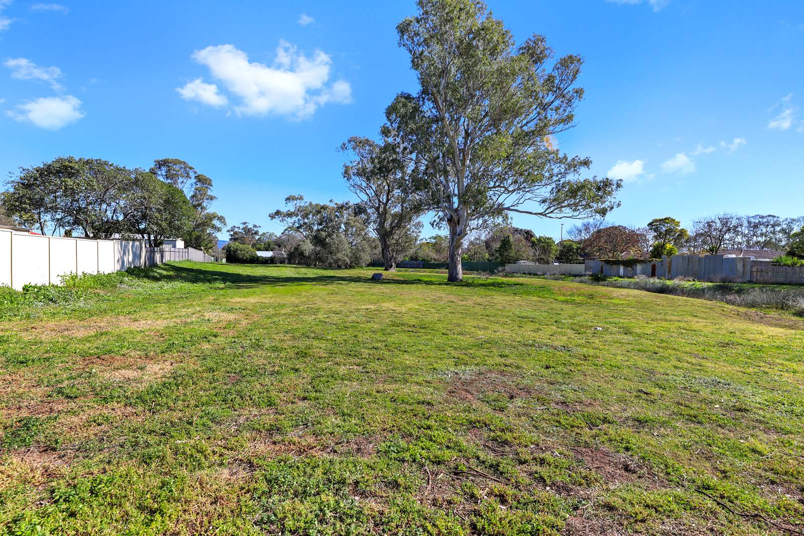 203 Susan Street, Scone For Sale by Farmbuy.com - image 20